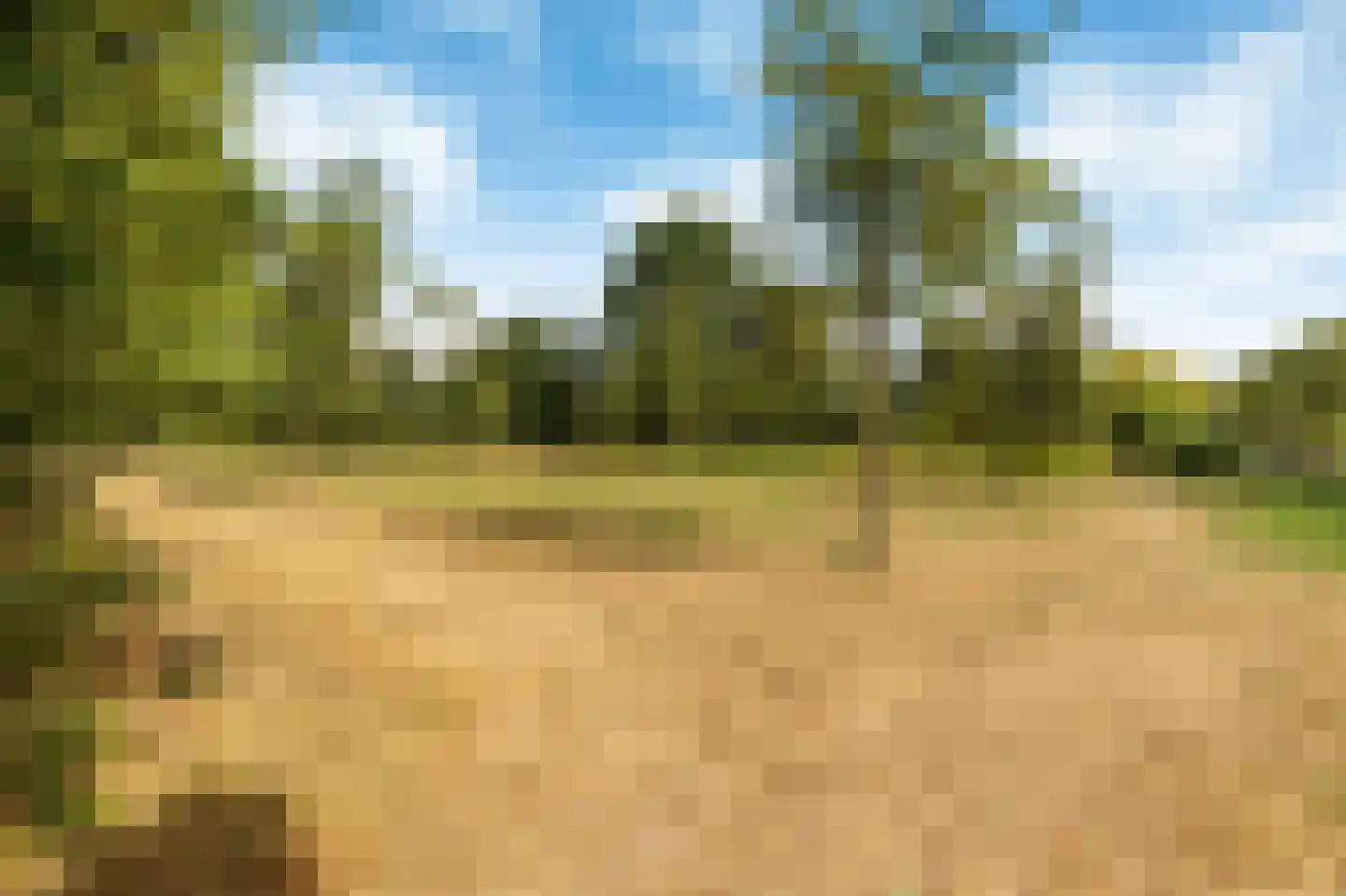 Hardersbos 1 Hoofddorp thumbnail 39