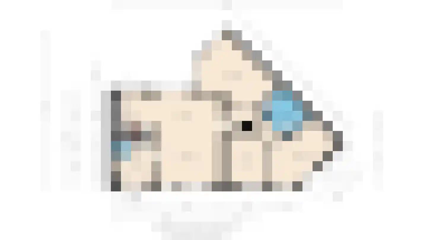 Hardersbos 1 Hoofddorp thumbnail 40