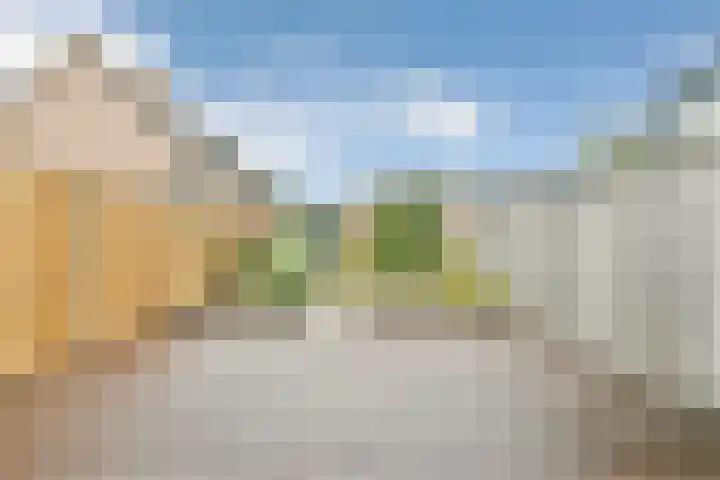 Hardersbos 18 Hoofddorp thumbnail 17