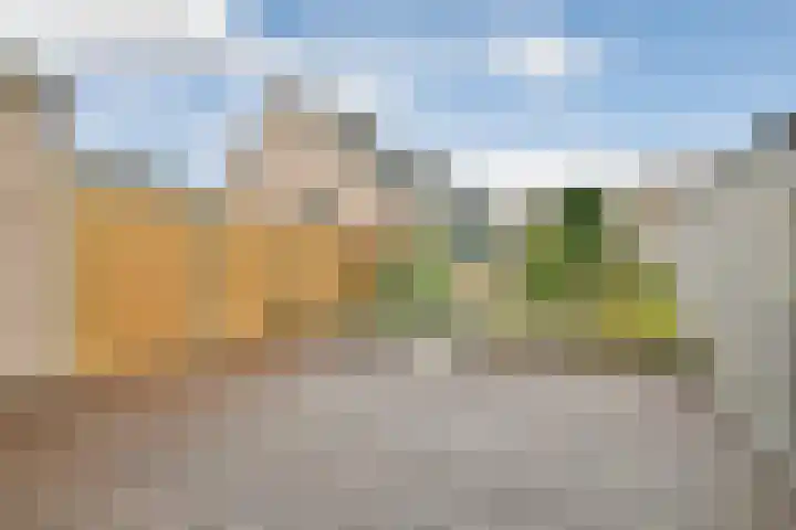 Hardersbos 18 Hoofddorp thumbnail 19