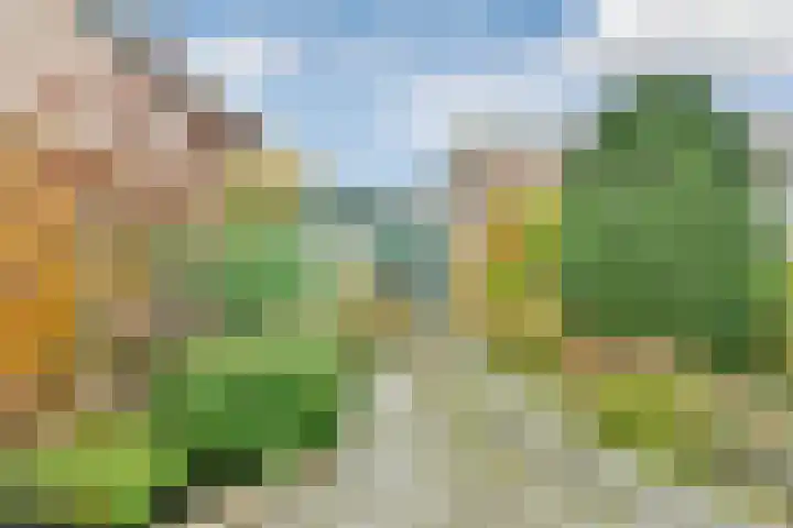 Hardersbos 18 Hoofddorp thumbnail 20