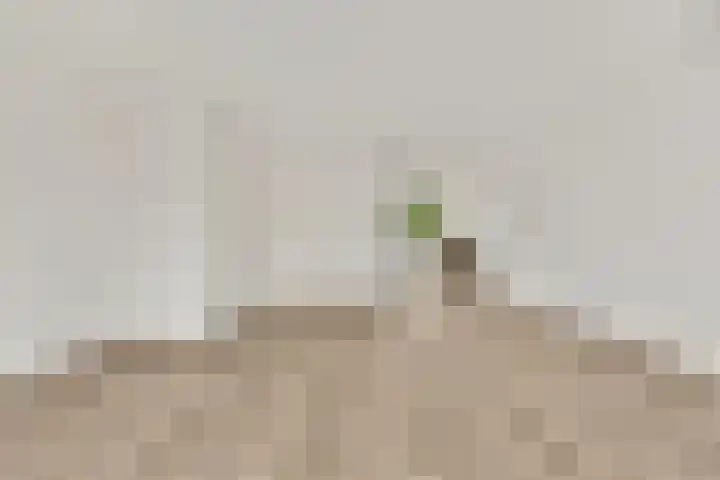 Hardersbos 18 Hoofddorp thumbnail 6