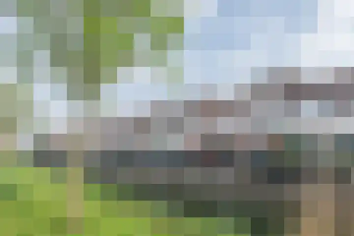 Harderwater 41 Barendrecht thumbnail 31