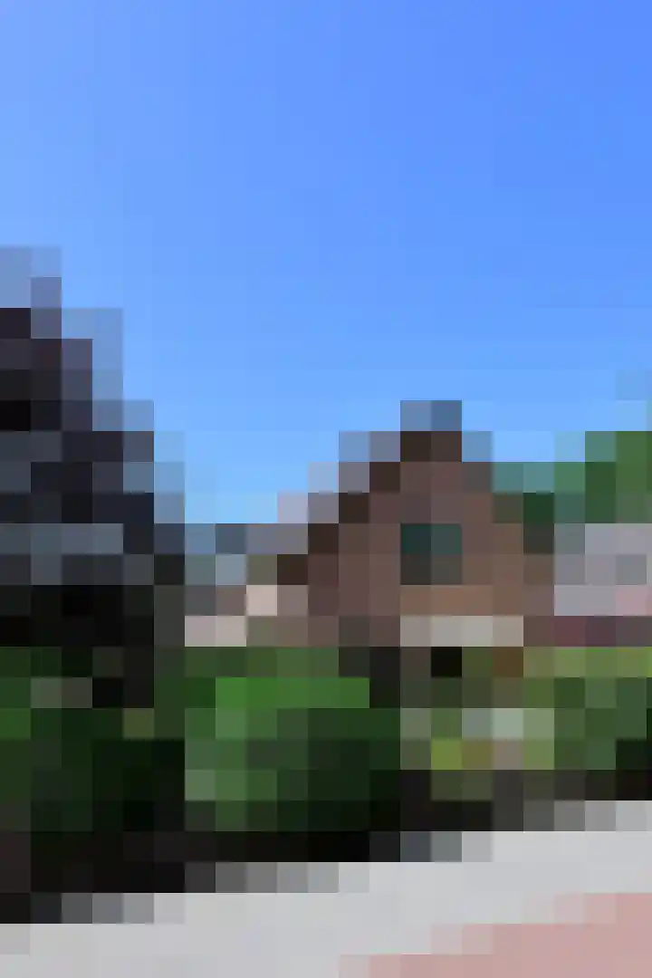 Harderwijkerstraat 49 Putten thumbnail 25