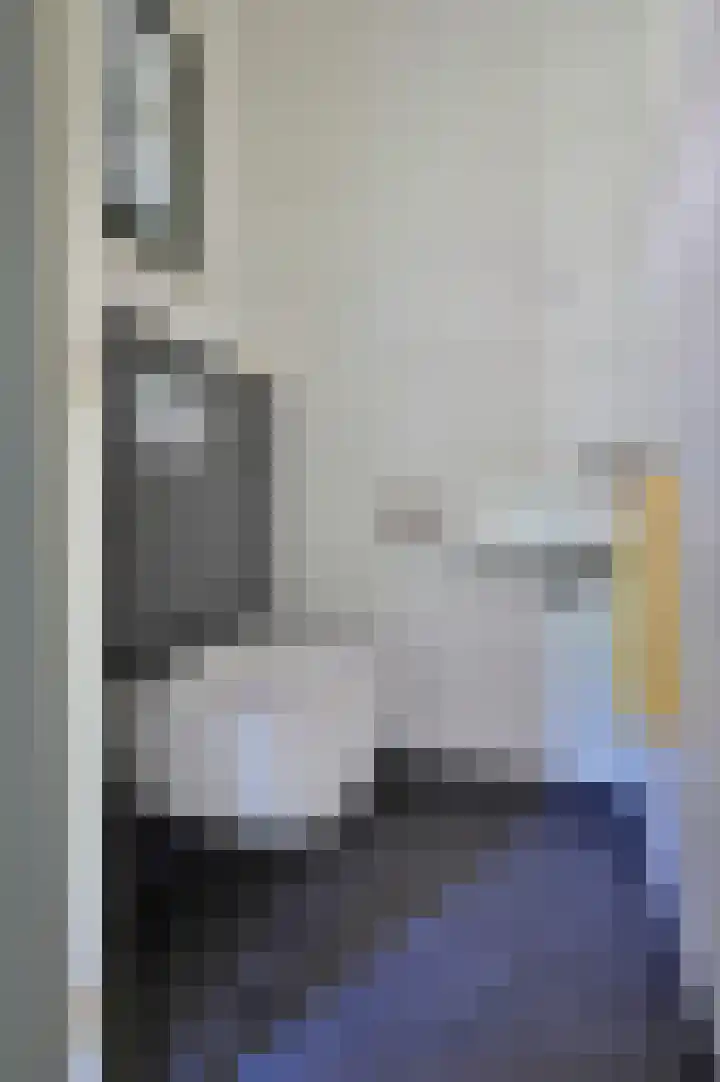 Harderwijkerstraat 49 Putten thumbnail 5