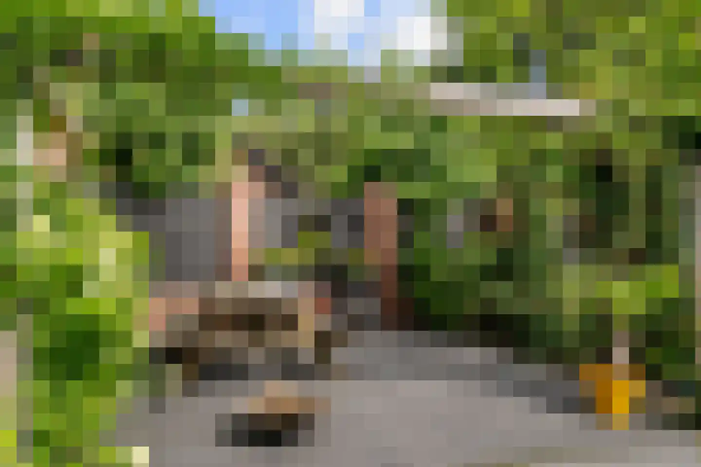 Harderwijkerweg 14 Harskamp thumbnail 34