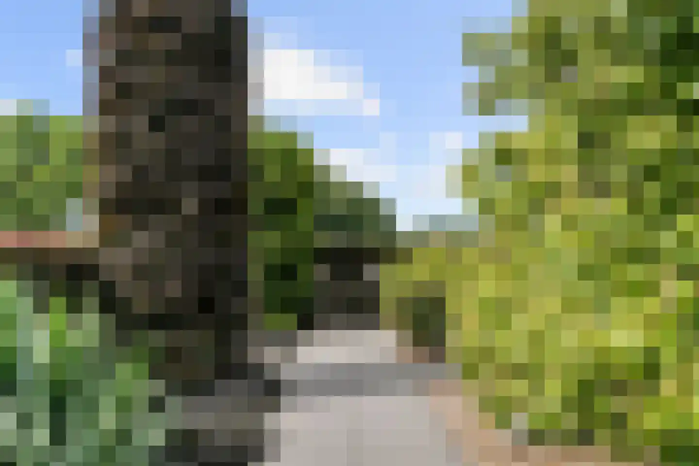 Harderwijkerweg 14 Harskamp thumbnail 35