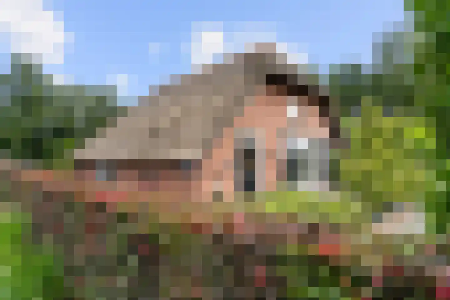 Harderwijkerweg 14 Harskamp thumbnail 5