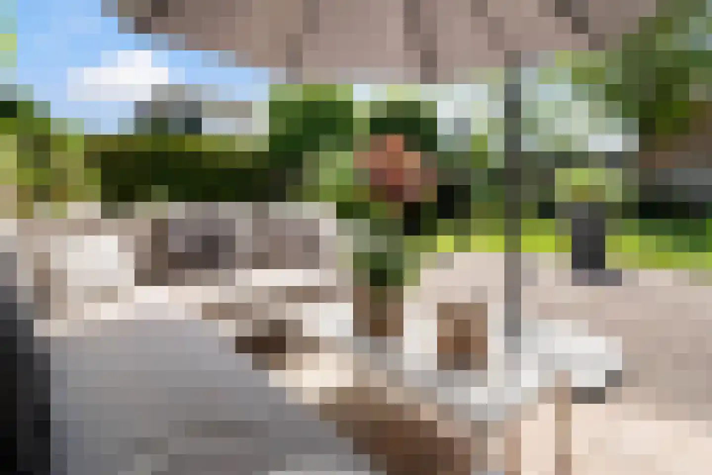 Harderwijkerweg 140 Ermelo thumbnail 11