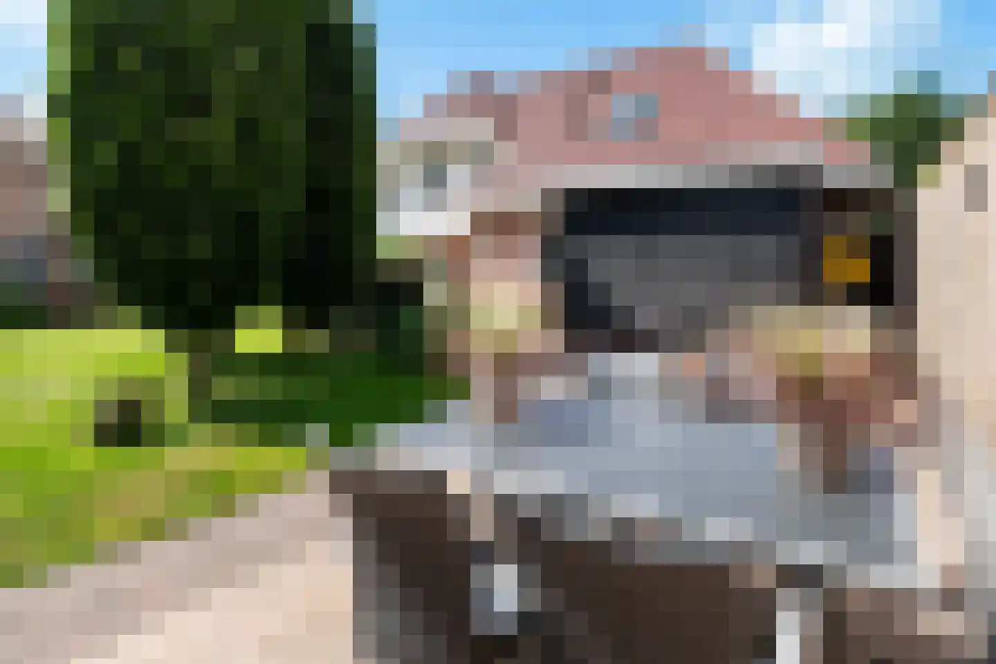 Harderwijkerweg 140 Ermelo thumbnail 74