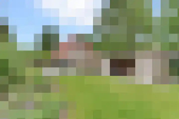 Harderwijkerweg 163 Ermelo thumbnail 4