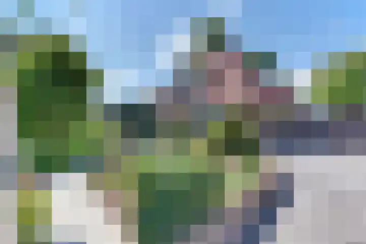 Harderwijkerweg 163 Ermelo thumbnail 9
