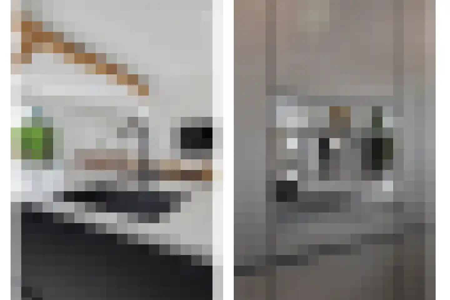 Harderwijkerweg 2 a Laag-Soeren thumbnail 10