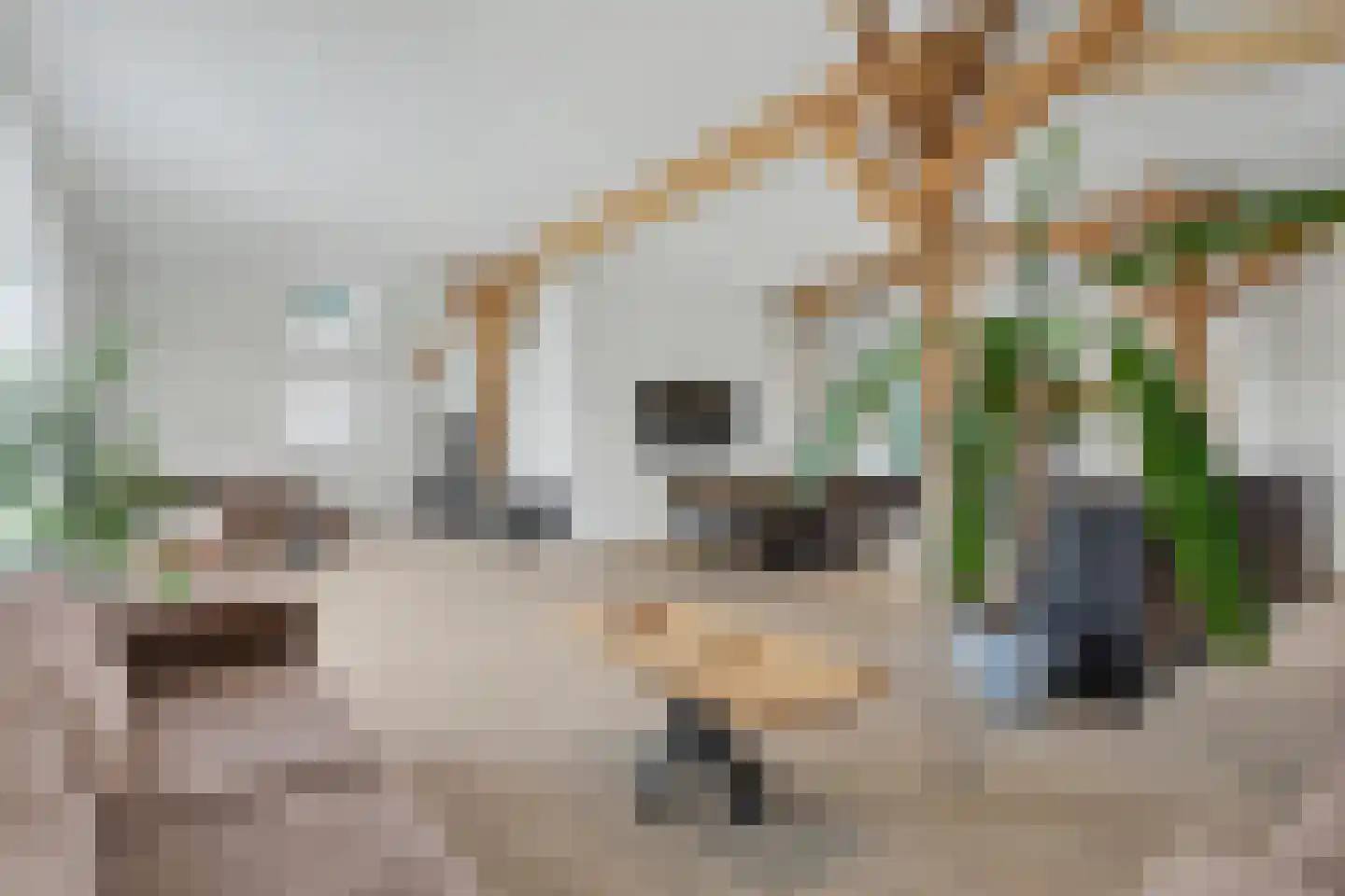 Harderwijkerweg 2 a Laag-Soeren thumbnail 13