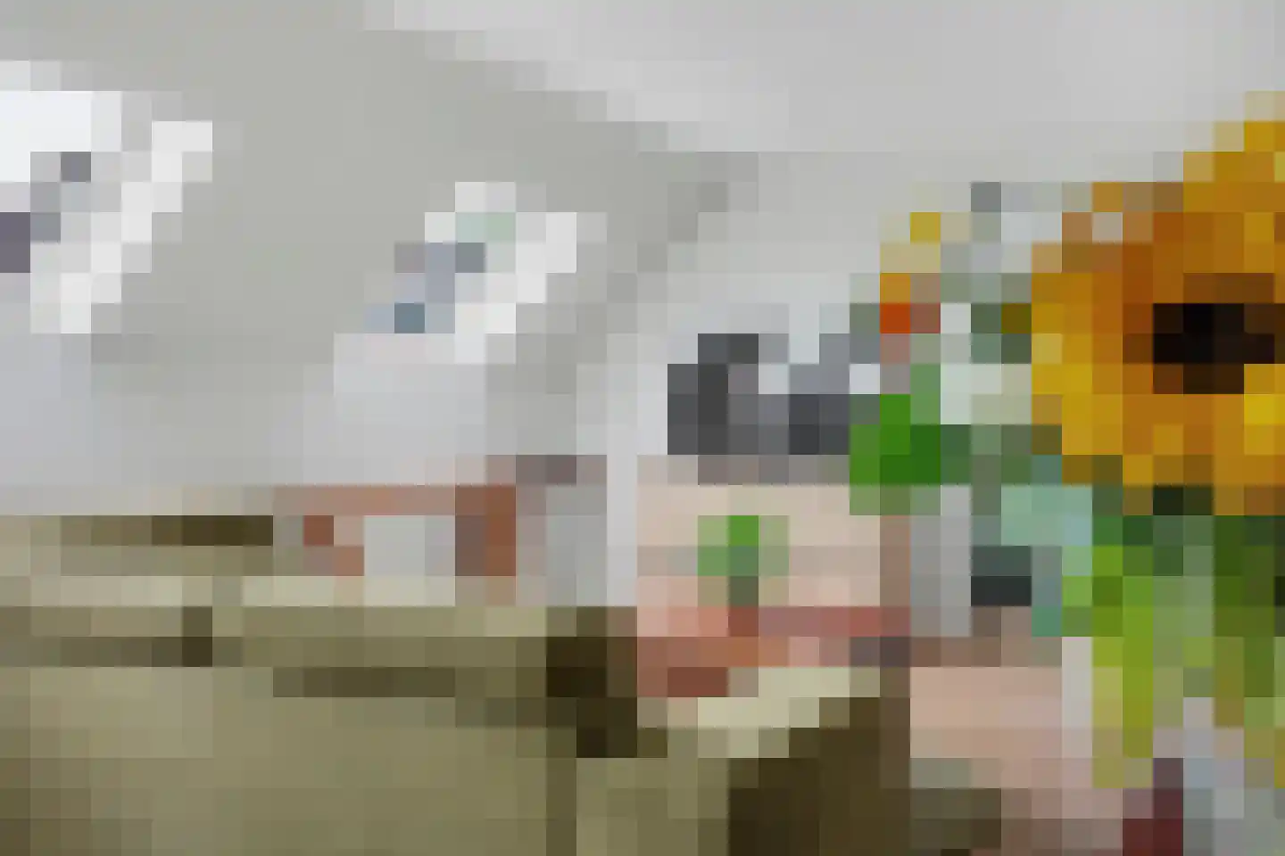 Harderwijkerweg 2 a Laag-Soeren thumbnail 29