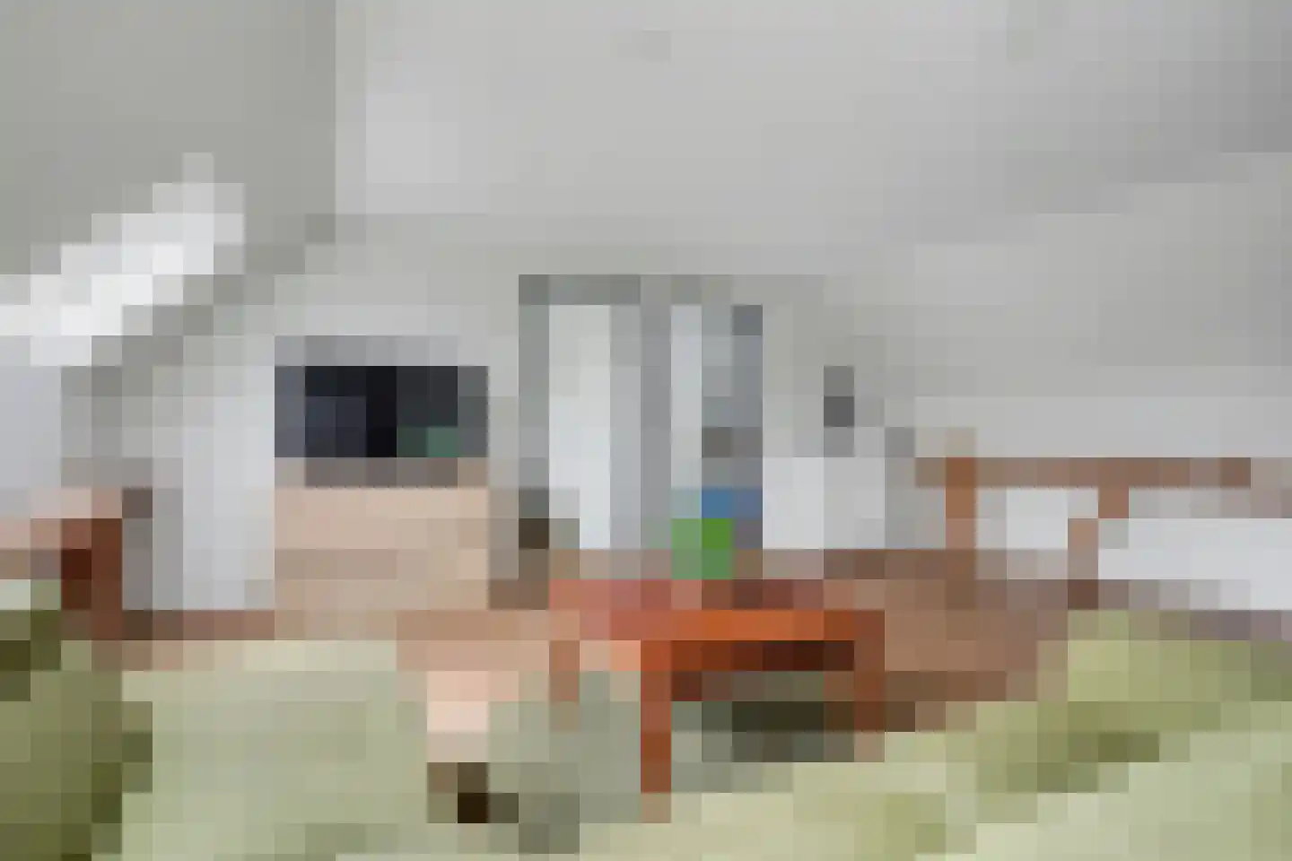 Harderwijkerweg 2 a Laag-Soeren thumbnail 35