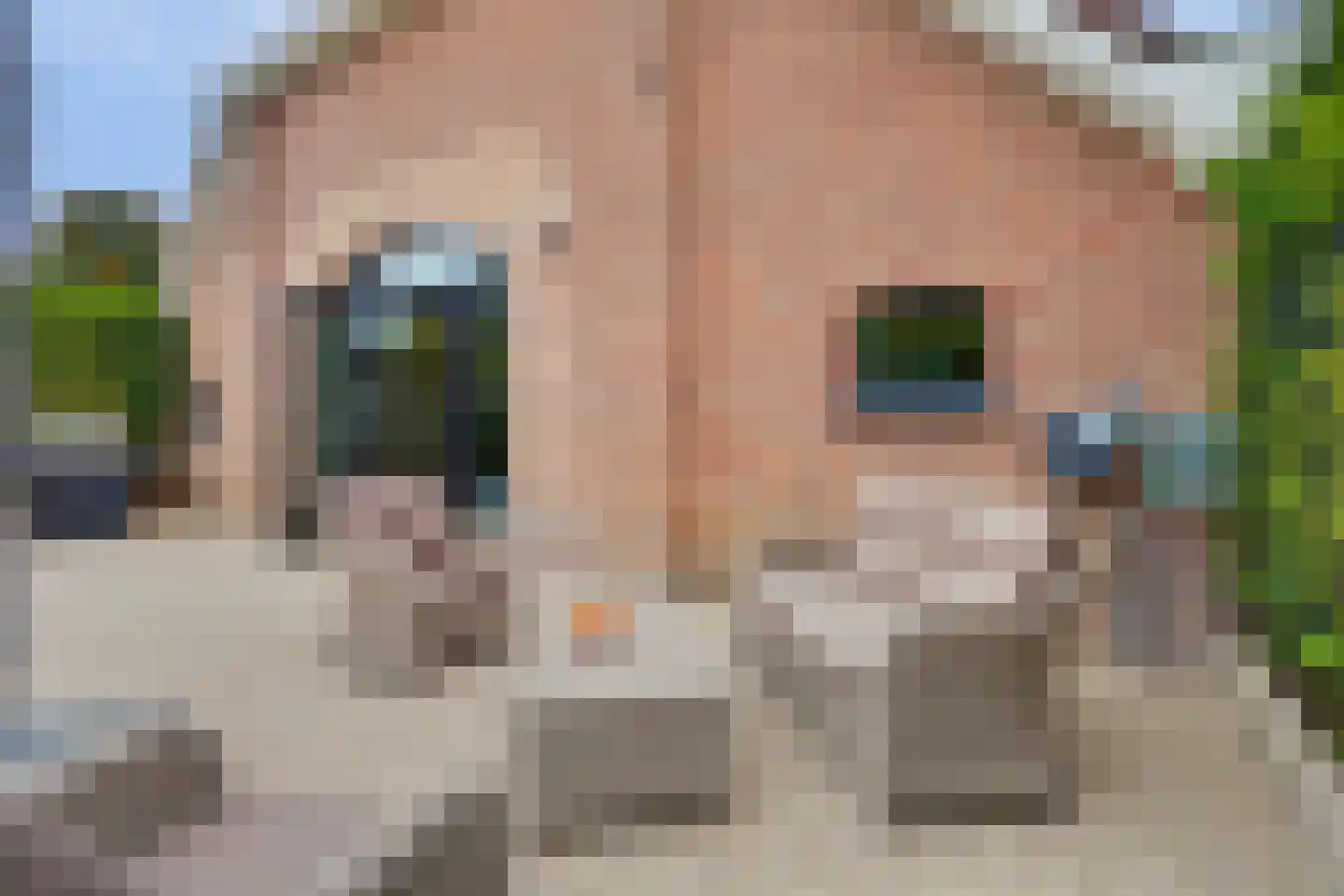 Harderwijkerweg 2 a Laag-Soeren thumbnail 56