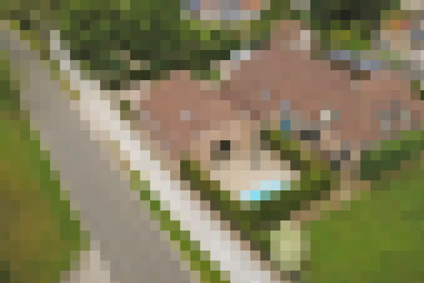 Harderwijkerweg 2 a Laag-Soeren thumbnail 65