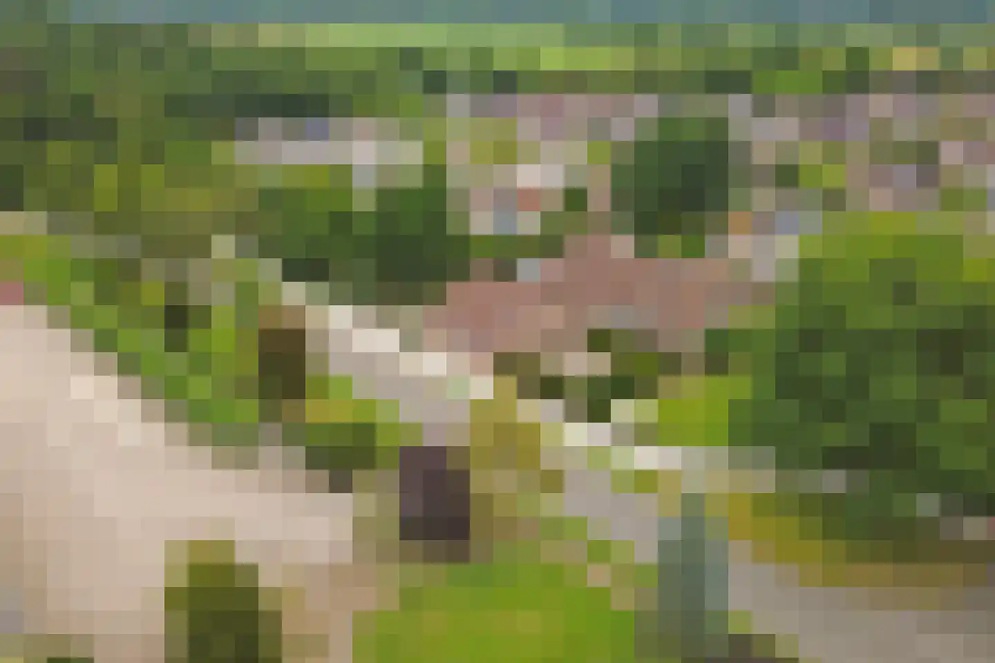 Harderwijkerweg 2 a Laag-Soeren thumbnail 69