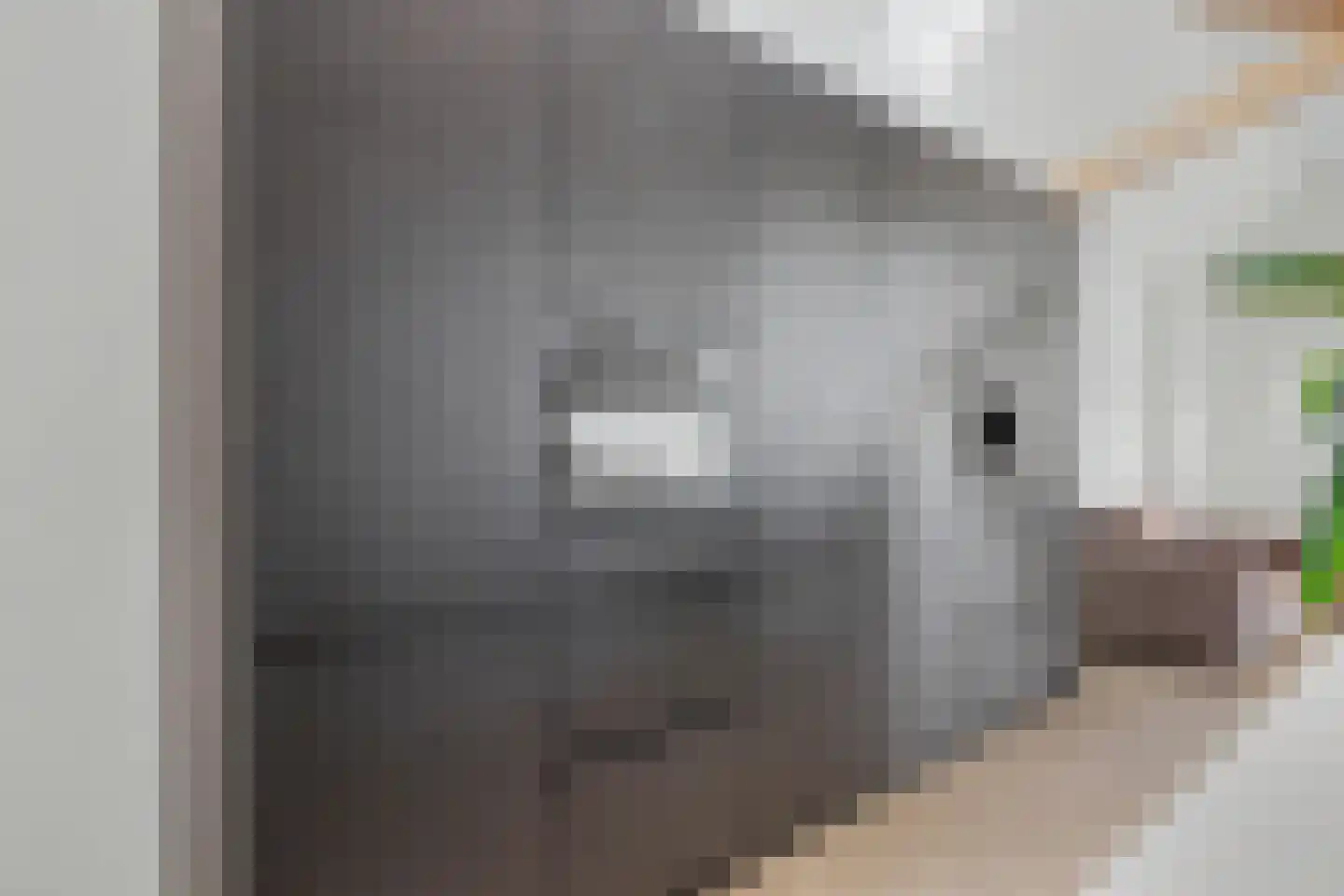 Harderwijkerweg 2 a Laag-Soeren thumbnail 8