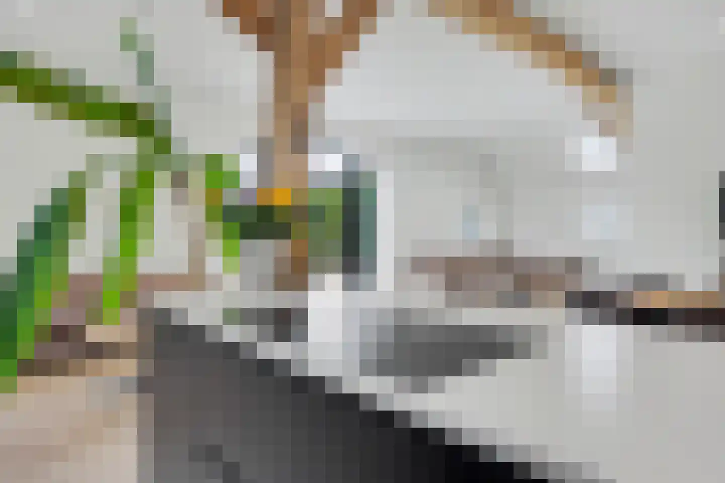 Harderwijkerweg 2 a Laag-Soeren thumbnail 9