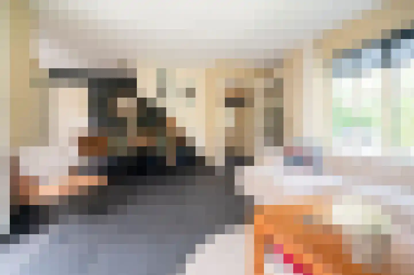 Harderwijkerweg 235 k Hulshorst thumbnail 15