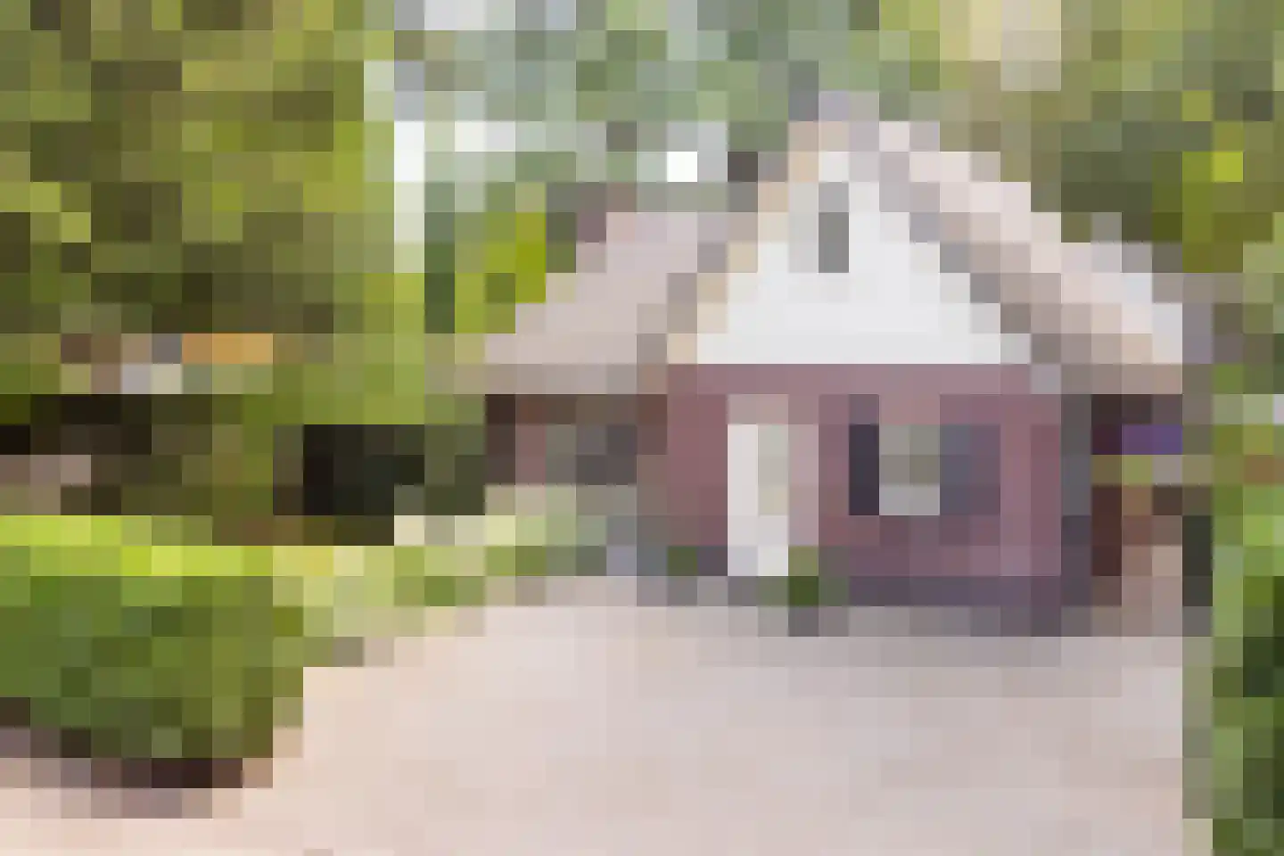 Harderwijkerweg 235 k Hulshorst thumbnail 32