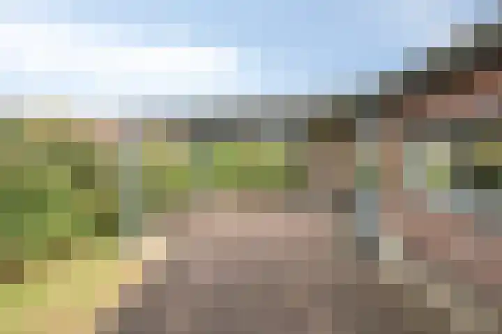 Harderwijkerweg 270 Hulshorst thumbnail 29