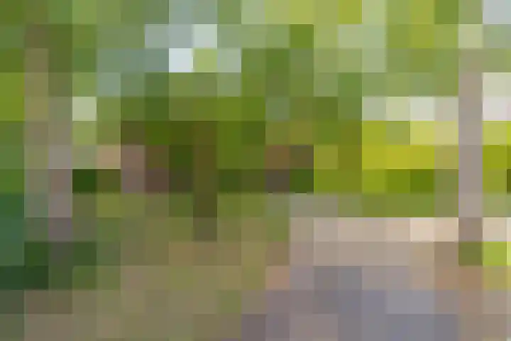 Harderwijkerweg 372 Hulshorst thumbnail 10