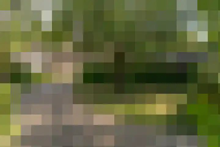 Harderwijkerweg 372 Hulshorst thumbnail 11