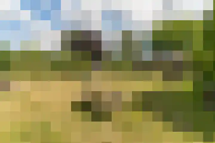 Harderwijkerweg 372 Hulshorst thumbnail 69