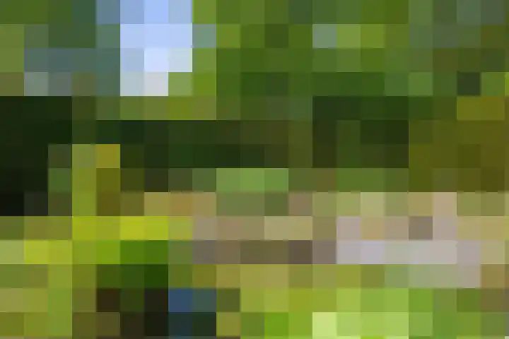 Harderwijkerweg 38 Laag-Soeren thumbnail 32