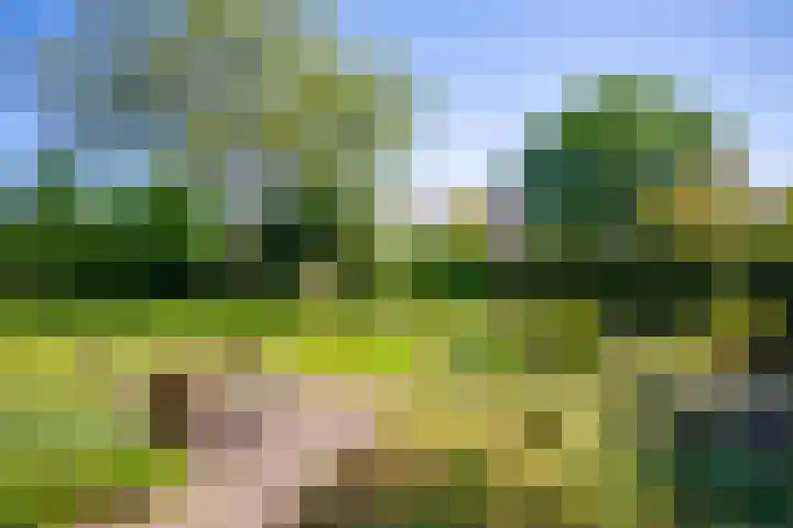 Harderwijkerweg 38 Laag-Soeren thumbnail 33