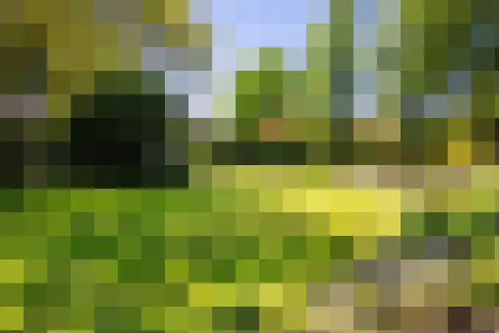 Harderwijkerweg 38 Laag-Soeren thumbnail 36