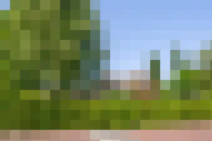 Harderwijkerweg 38 Laag-Soeren thumbnail 4