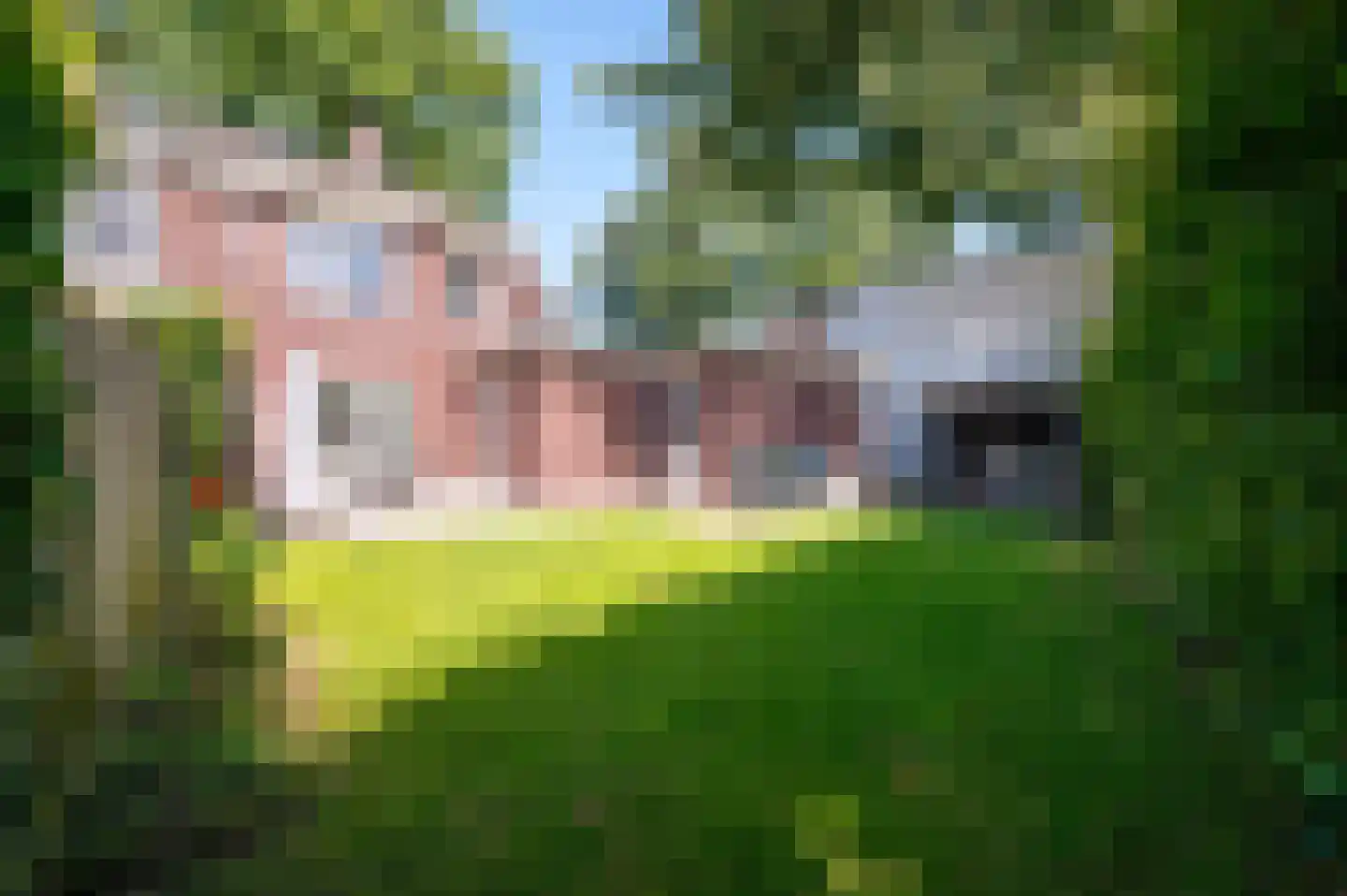 Harderwijkerweg 51 Nunspeet thumbnail 26