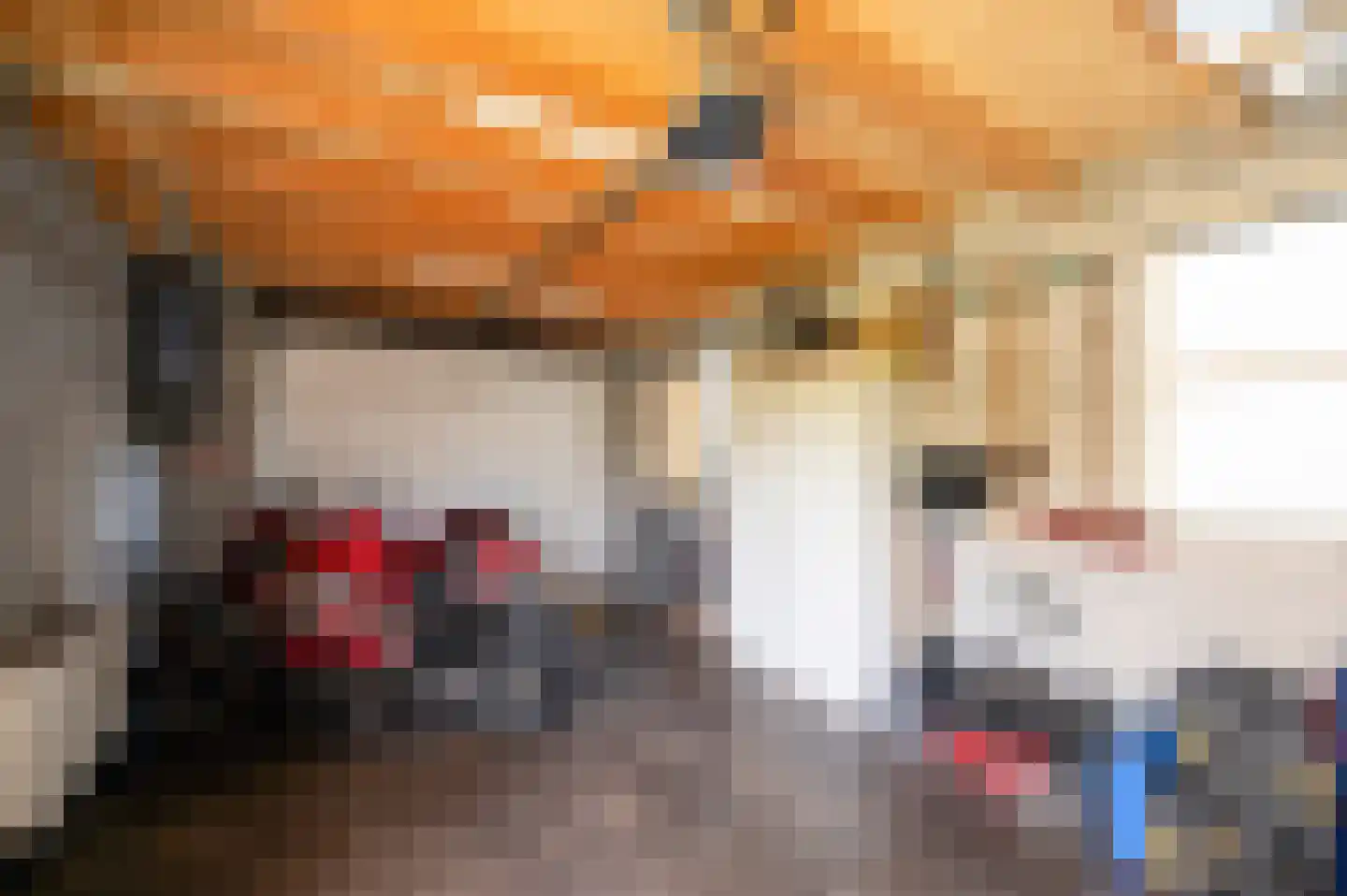 Harderwijkerweg 51 Nunspeet thumbnail 8