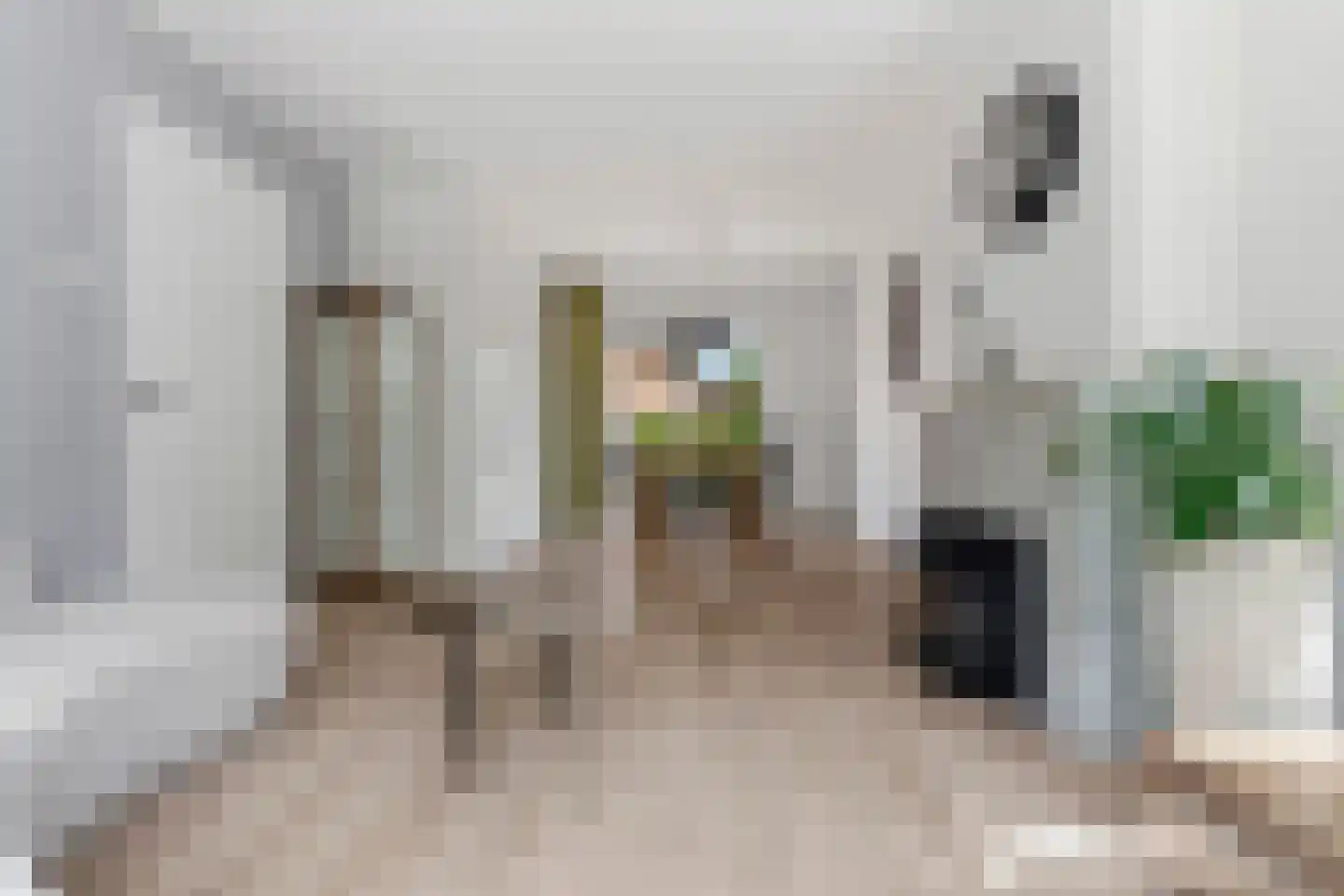Harderwijkerweg 56 Dieren thumbnail 4