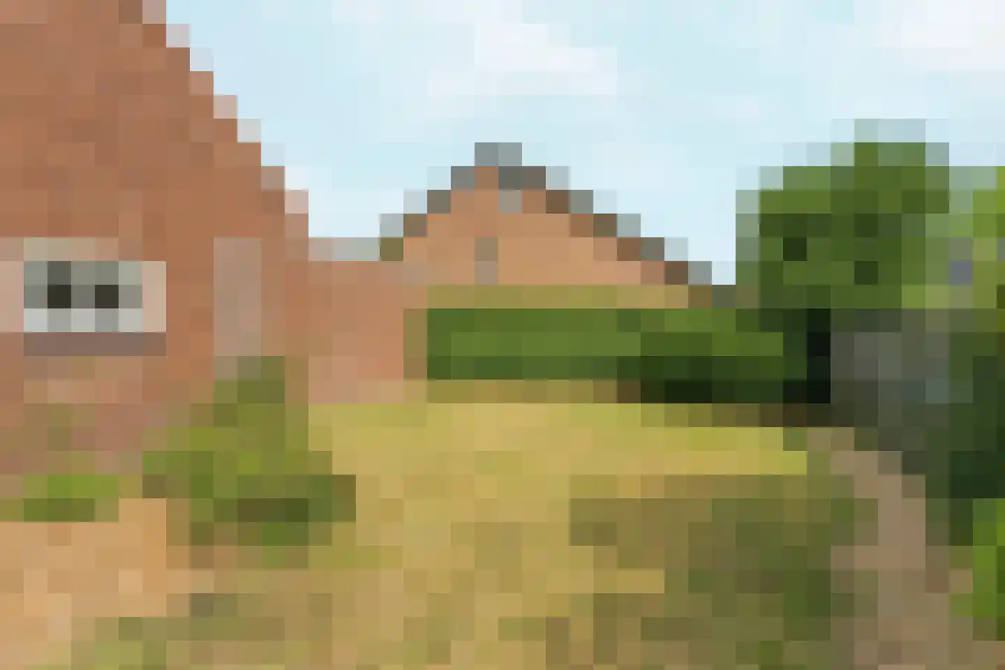 Harderwijkerweg 56 Dieren thumbnail 41