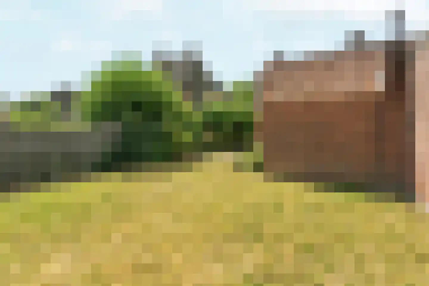 Harderwijkerweg 56 Dieren thumbnail 45