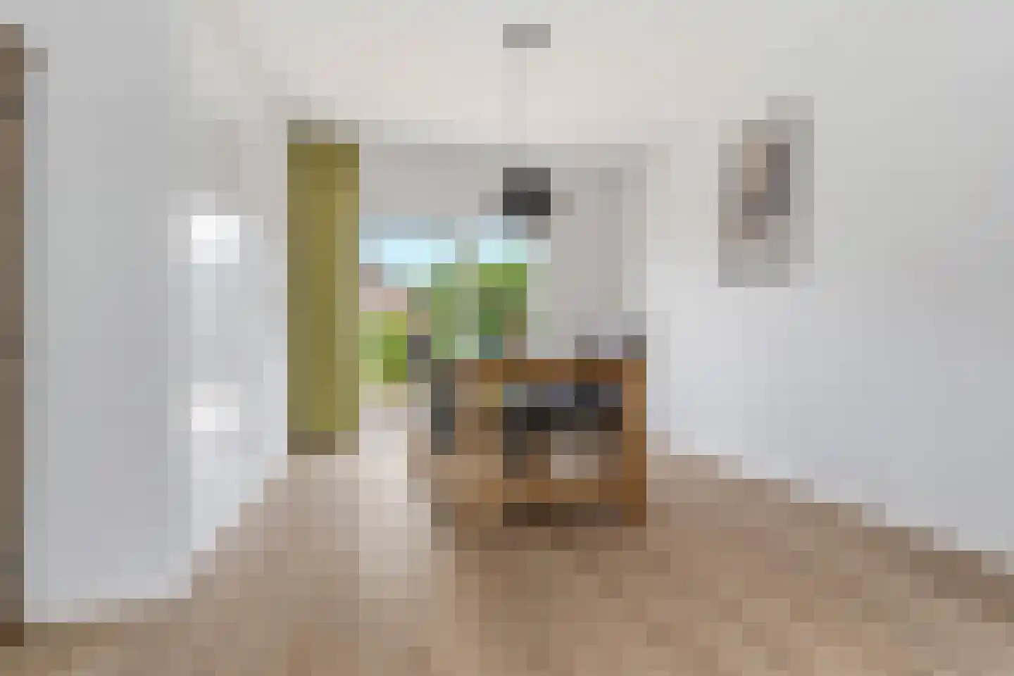 Harderwijkerweg 56 Dieren thumbnail 8