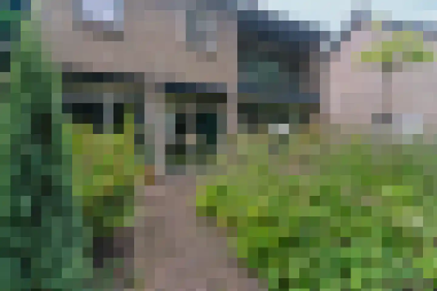 Harderwijkerweg 57 Laag-Soeren thumbnail 4