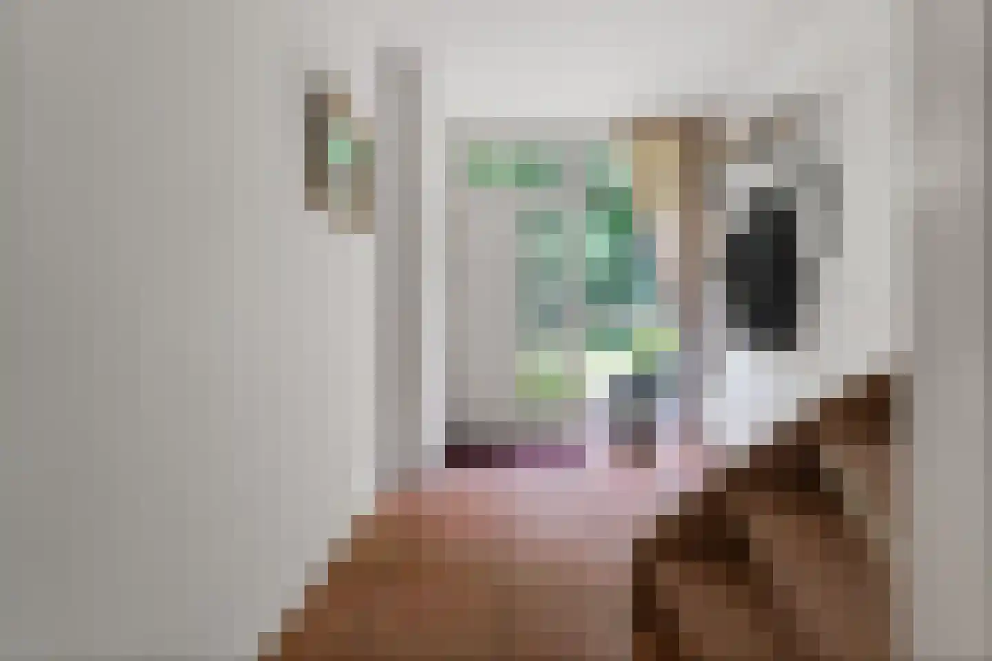 Harderwijkerweg 57 Laag-Soeren thumbnail 7