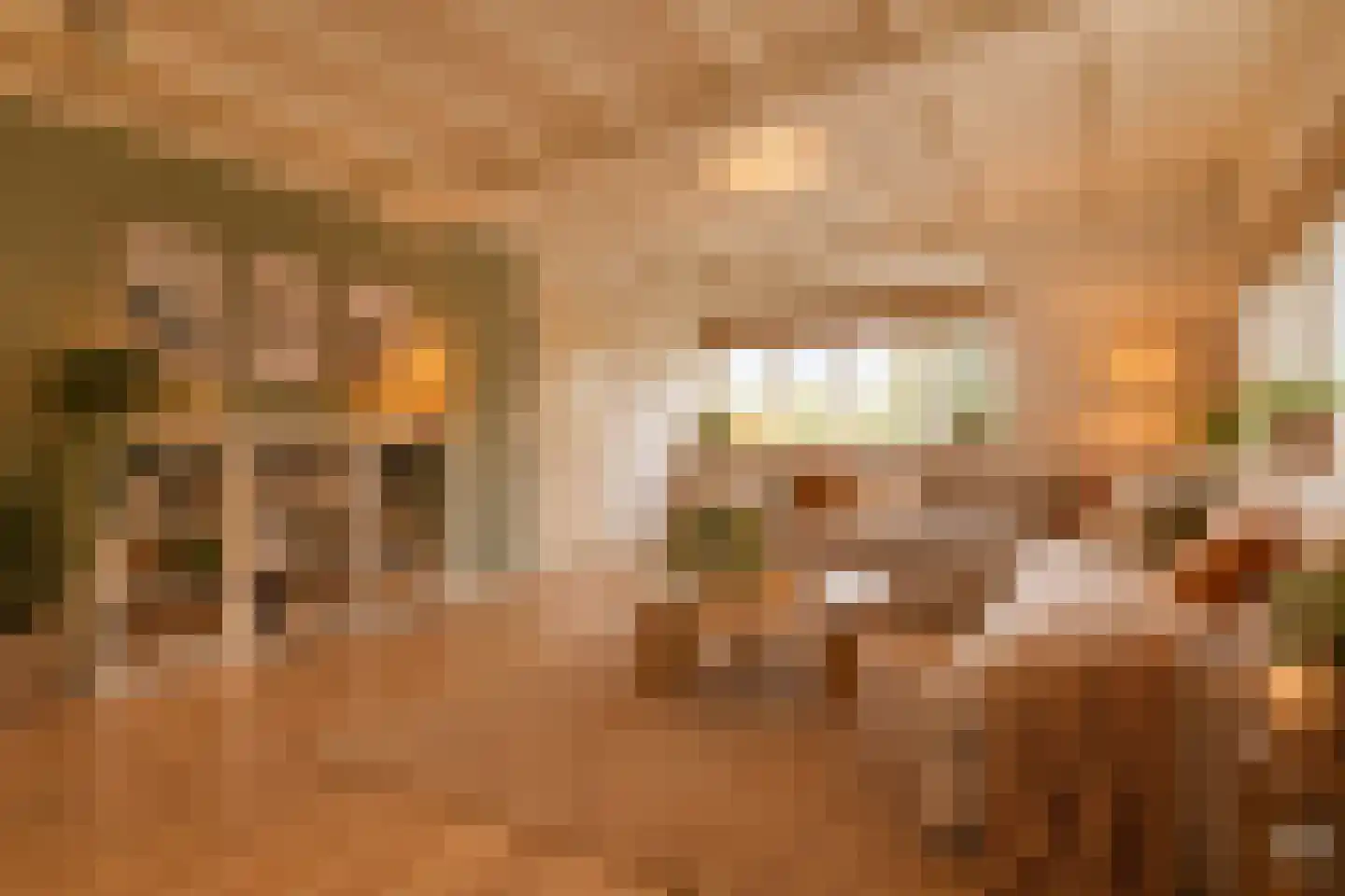 Harderwijkerweg 61 Dieren thumbnail 11