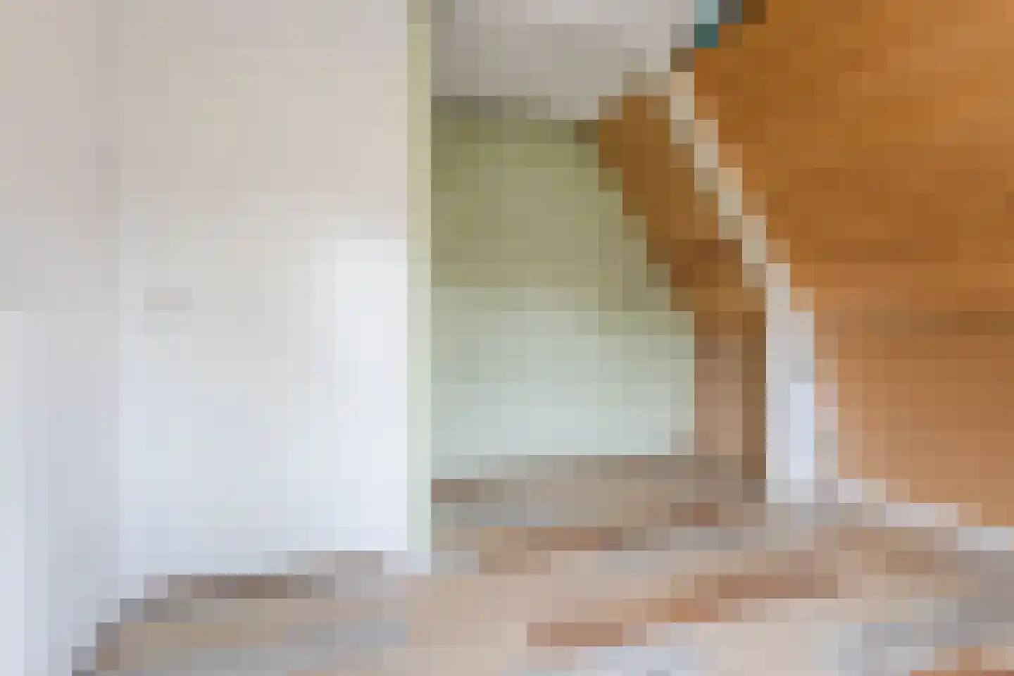 Harderwijkerweg 61 Dieren thumbnail 19