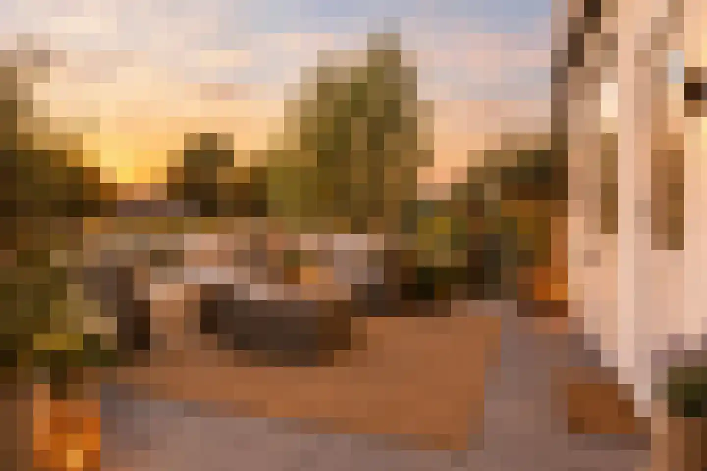 Harderwijkerweg 61 Dieren thumbnail 36