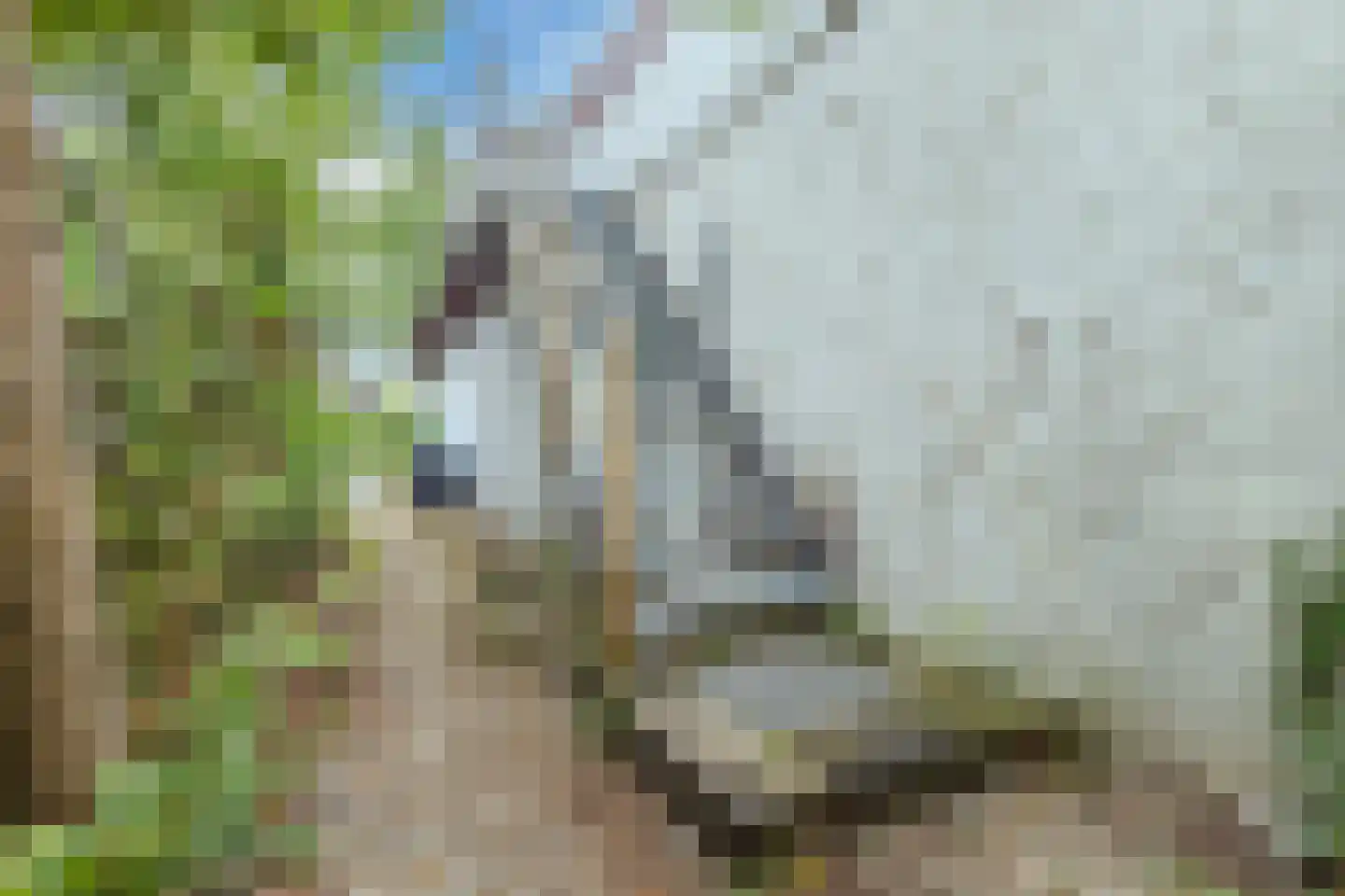 Harderwijkerweg 61 Dieren thumbnail 39
