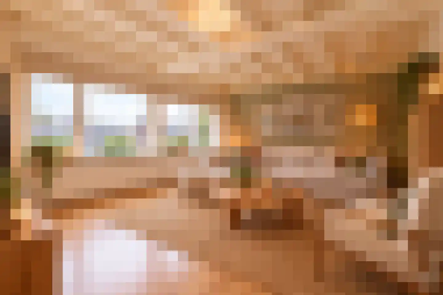 Harderwijkerweg 61 Dieren thumbnail 4