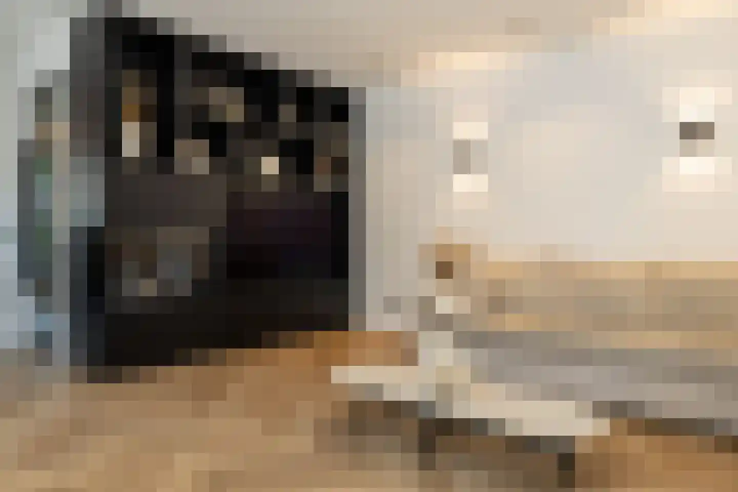 Harderwijkerweg 62 Nunspeet thumbnail 10