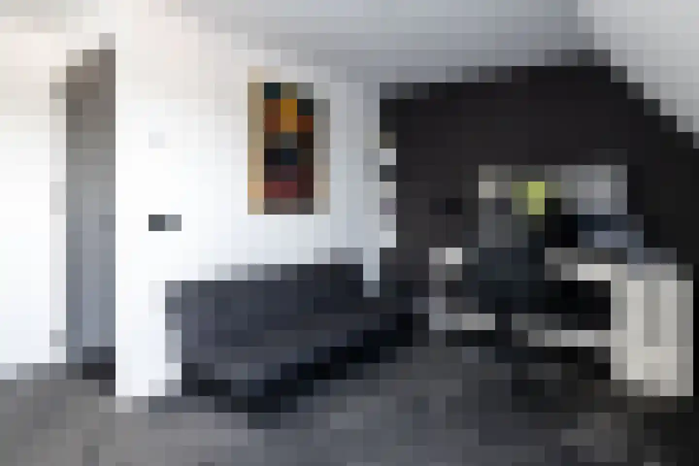 Harderwijkerweg 62 Nunspeet thumbnail 36